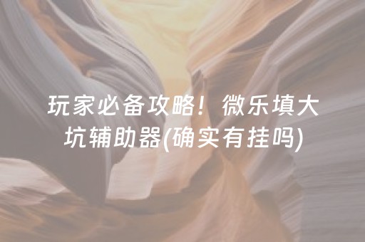 玩家必备攻略！微乐填大坑辅助器(确实有挂吗)