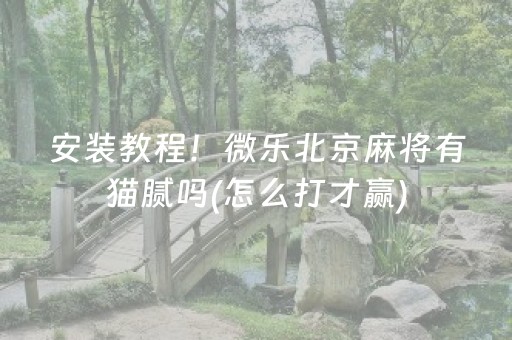 安装教程！微乐北京麻将有猫腻吗(怎么打才赢)