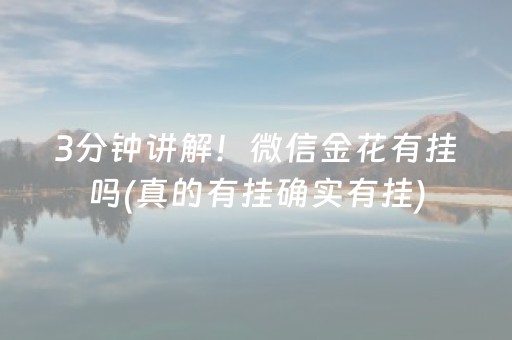 终于发现了“麻将机程控器（专用辅牌神器免安装）