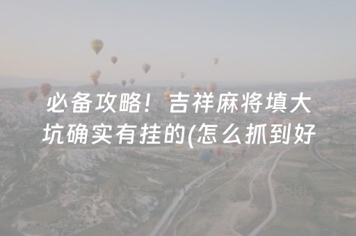 今日实测“手机十三水万能辅助器”（详细透视教程）-哔哩哔哩