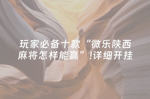 玩家必备十款“微乐陕西麻将怎样能赢”!详细开挂教程-抖音