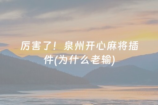 厉害了！泉州开心麻将插件(为什么老输)