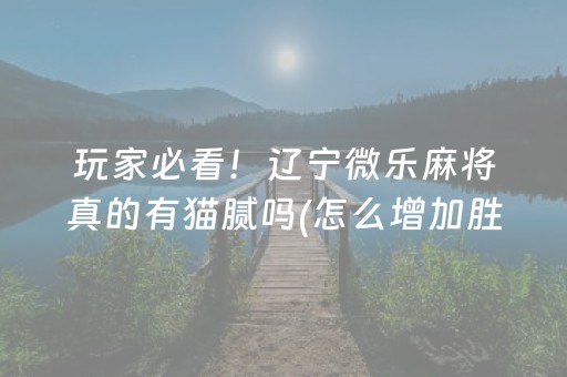 玩家必看！辽宁微乐麻将真的有猫腻吗(怎么增加胜率)