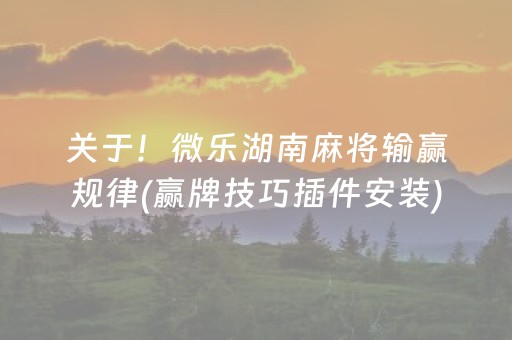 关于！微乐湖南麻将输赢规律(赢牌技巧插件安装)