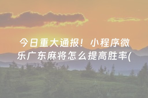 今日重大通报！小程序微乐广东麻将怎么提高胜率(技巧攻略怎样拿好牌)