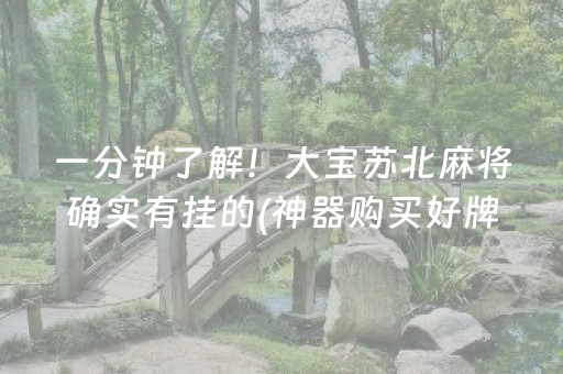 一分钟了解！大宝苏北麻将确实有挂的(神器购买好牌规律)