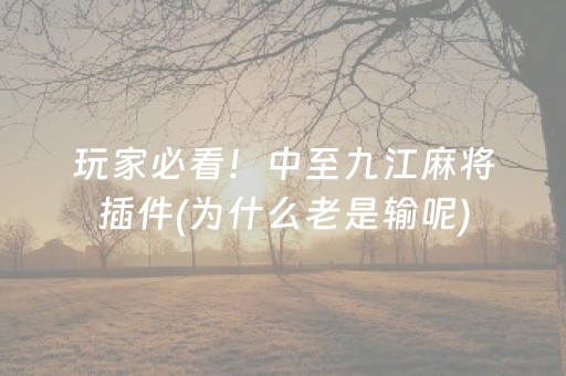 玩家必看！中至九江麻将插件(为什么老是输呢)