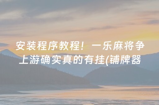 安装程序教程！一乐麻将争上游确实真的有挂(铺牌器购买)