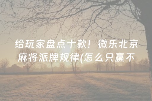 给玩家盘点十款！微乐北京麻将派牌规律(怎么只赢不输)