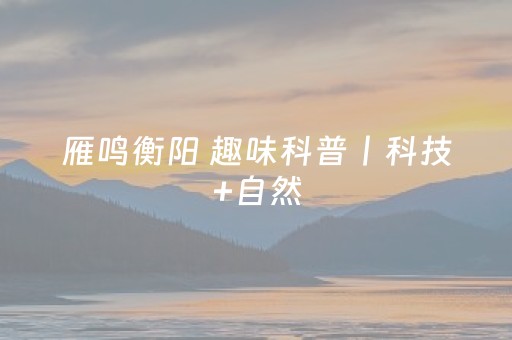 实测辅助“手机打麻将作蔽器具（专用辅牌神器免安装）