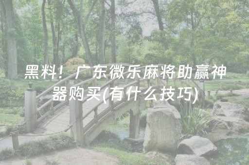 黑料！广东微乐麻将助赢神器购买(有什么技巧)