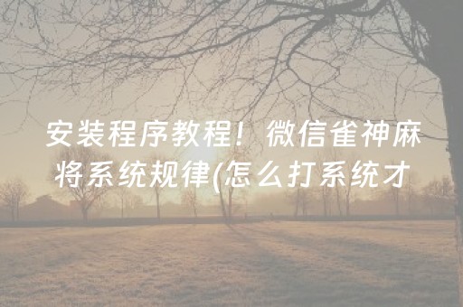 安装程序教程！微信雀神麻将系统规律(怎么打系统才能给好牌)