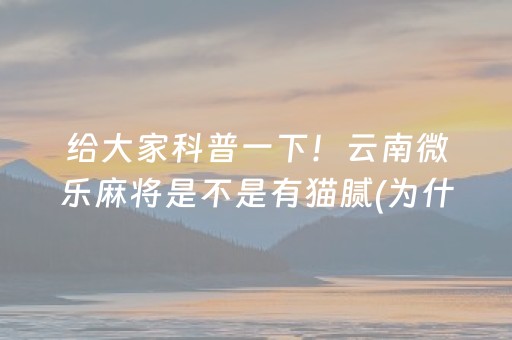 给大家科普一下！云南微乐麻将是不是有猫腻(为什么经常输)