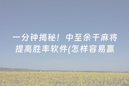 一分钟揭秘！中至余干麻将提高胜率软件(怎样容易赢)