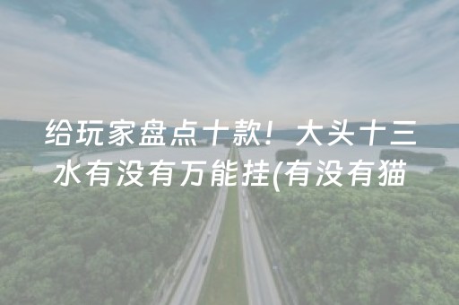给玩家盘点十款！大头十三水有没有万能挂(有没有猫腻)