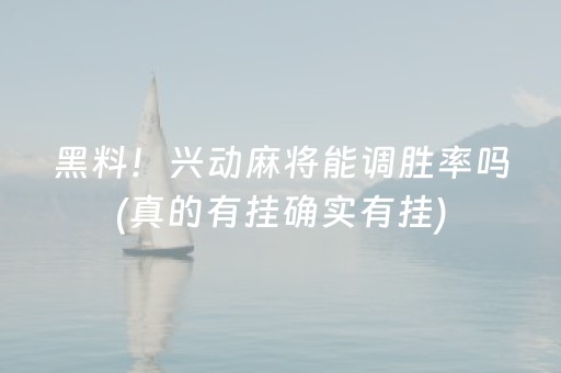 黑料！兴动麻将能调胜率吗(真的有挂确实有挂)