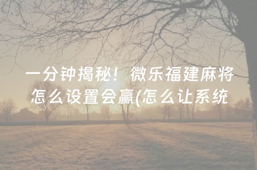 一分钟揭秘！微乐福建麻将怎么设置会赢(怎么让系统给好牌)