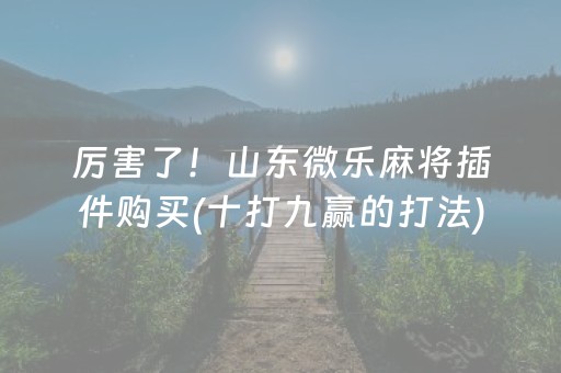 厉害了！山东微乐麻将插件购买(十打九赢的打法)