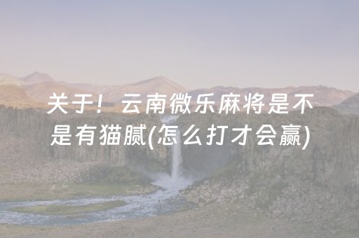 关于！云南微乐麻将是不是有猫腻(怎么打才会赢)