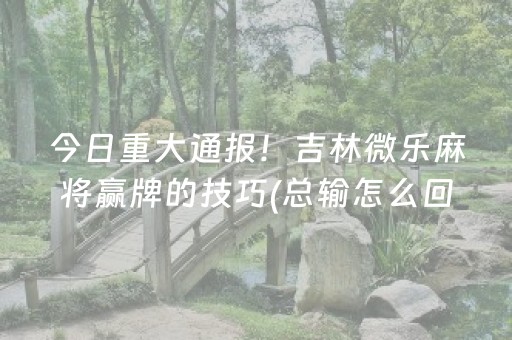 今日重大通报！吉林微乐麻将赢牌的技巧(总输怎么回事)