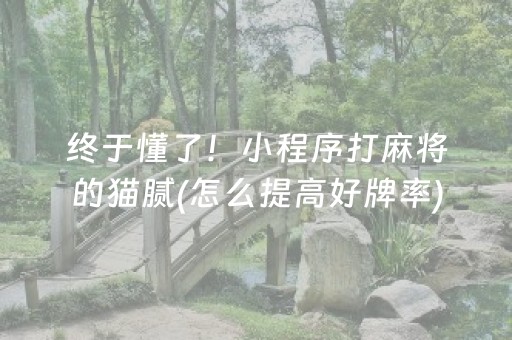 终于懂了！小程序打麻将的猫腻(怎么提高好牌率)