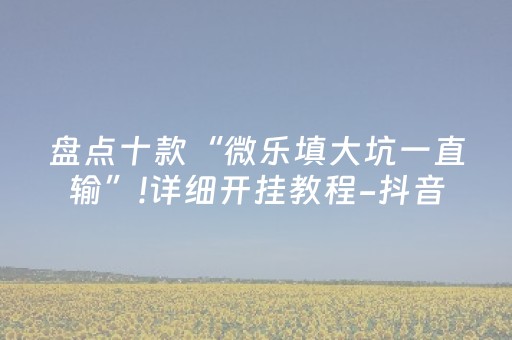 盘点十款“微乐填大坑一直输”!详细开挂教程-抖音