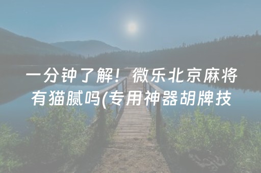 必看教程“微乐手机麻将专用神器（助赢神器通用版）
