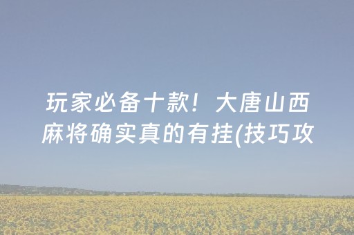 玩家必备十款！大唐山西麻将确实真的有挂(技巧攻略怎样拿好牌)