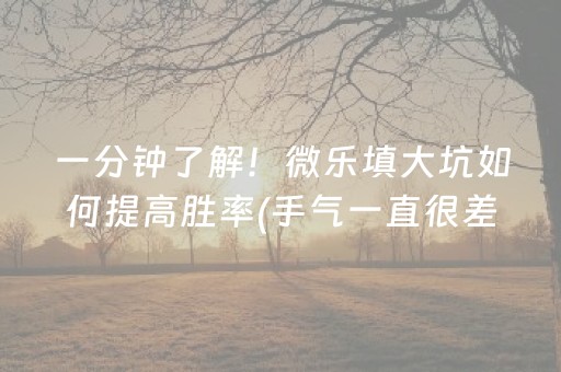 一分钟了解！微乐填大坑如何提高胜率(手气一直很差)