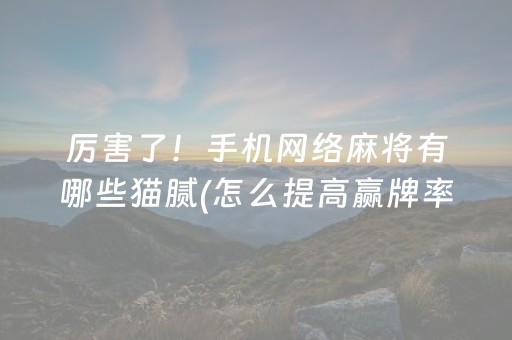 厉害了！手机网络麻将有哪些猫腻(怎么提高赢牌率)