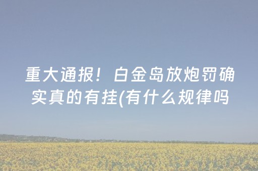 重大通报！白金岛放炮罚确实真的有挂(有什么规律吗)
