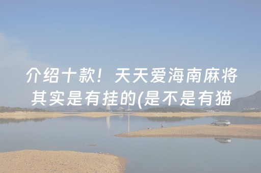 介绍十款！天天爱海南麻将其实是有挂的(是不是有猫腻)