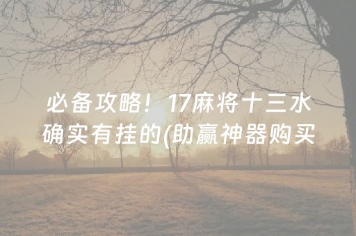 必备攻略！17麻将十三水确实有挂的(助赢神器购买)