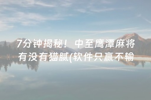 7分钟揭秘！中至鹰潭麻将有没有猫腻(软件只赢不输)