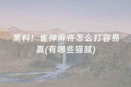 黑料！雀神麻将怎么打容易赢(有哪些猫腻)