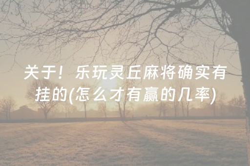 关于！乐玩灵丘麻将确实有挂的(怎么才有赢的几率)