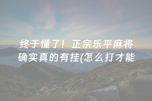 终于懂了！正宗乐平麻将确实真的有挂(怎么打才能赢)