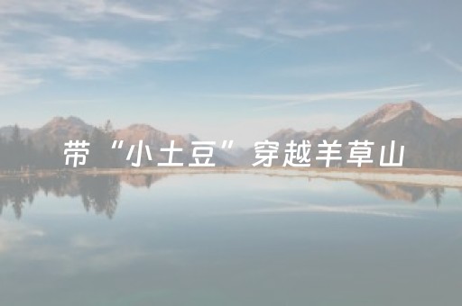 带“小土豆”穿越羊草山