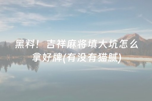 黑料！吉祥麻将填大坑怎么拿好牌(有没有猫腻)