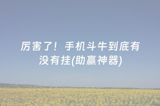 厉害了！手机斗牛到底有没有挂(助赢神器)