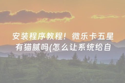 安装程序教程！微乐卡五星有猫腻吗(怎么让系统给自己好牌)