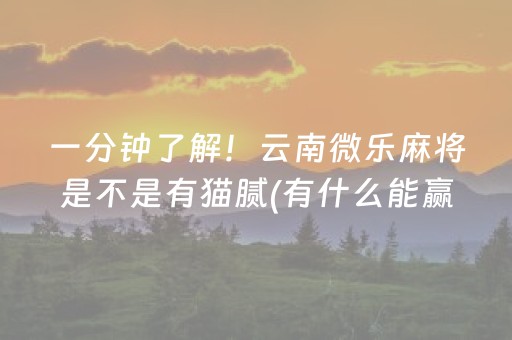 实测分享“微信微信qq红包控制尾数0-9的神器扫雷”（详细透视教程）-哔哩哔哩