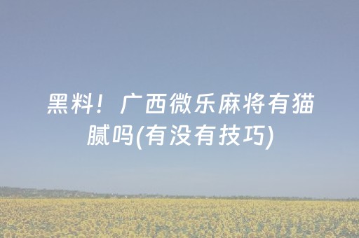 实测辅助“微乐福建麻将专用神器（助赢神器通用版）