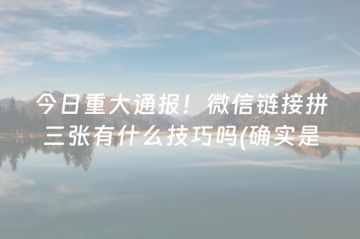 玩家必看教程！“微乐河北麻将助赢神器购买”（详细透视教程）-哔哩哔哩