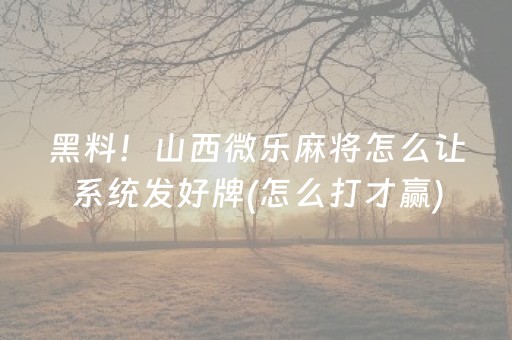 今日盘点“手机十三水怎么拿好牌”（详细辅助教程）-哔哩哔哩