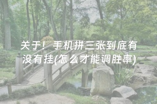 关于！手机拼三张到底有没有挂(怎么才能调胜率)