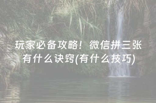 实测分享“陕麻圈到底有没有外挂”（详细辅助教程）-哔哩哔哩