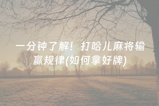 一分钟了解！打哈儿麻将输赢规律(如何拿好牌)