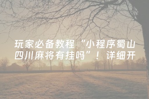 玩家必备教程“小程序蜀山四川麻将有挂吗”！详细开挂教程（确实真的有挂)-抖音