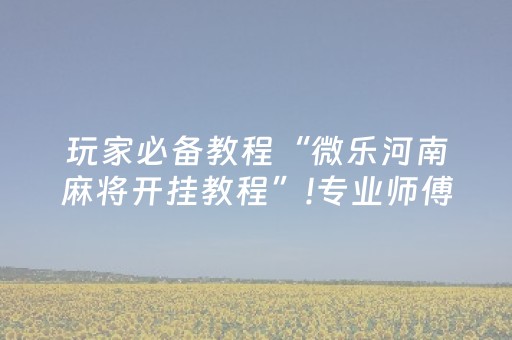 玩家必备教程“微乐河南麻将开挂教程”!专业师傅带你一起了解（详细教程）-抖音